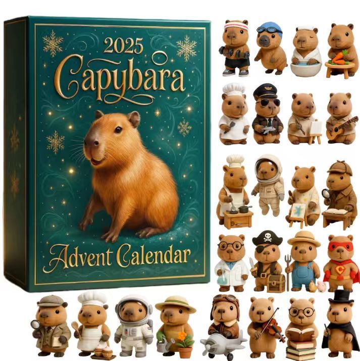 Advent Calendar Arrival Calendar Blind Box Christmas Gift