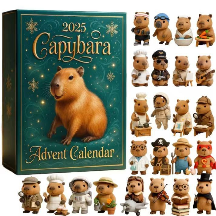 Advent Calendar Arrival Calendar Blind Box Christmas Gift